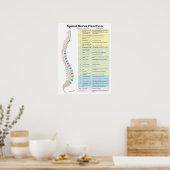 Chiropraktikum-Poster für die Funktion der Wirbels Poster (Küche)