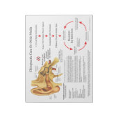 Chiropraktische Behandlung von Infektionen des Ohr Notizblock (Rotiert)