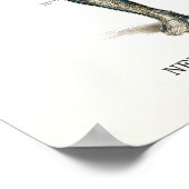 Chiropraktische Gesundheitstipps und Redewendungen Poster (Ecke)