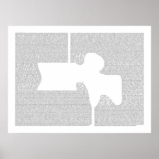 Chiropraktische Lumbar Vertebra Kunst, Dichtung un Poster (Vorne)