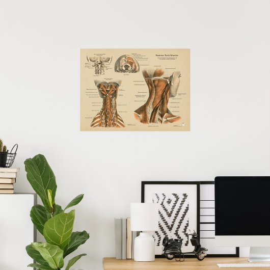 Chiropraktische Massagediagramm der Nackenspine Poster (Heimbüro)