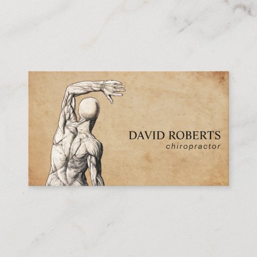 Chiropraktische Vintage Anatomie Chiropraktor Visitenkarte (Vorderseite)