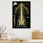 Chiropraktische Wirbelsäulennerven Poster (Küche)