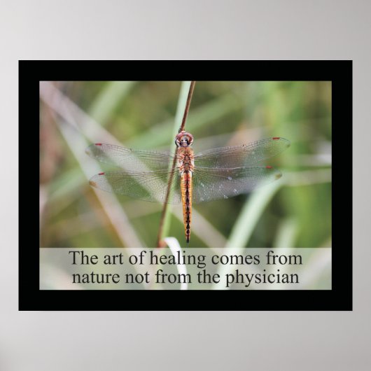 Chiropraktische Zitate und Redewendungen Gesundhei Poster (Vorne)
