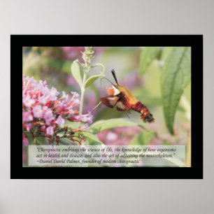 Chiropraktische Zitate und Redewendungen Gesundhei Poster