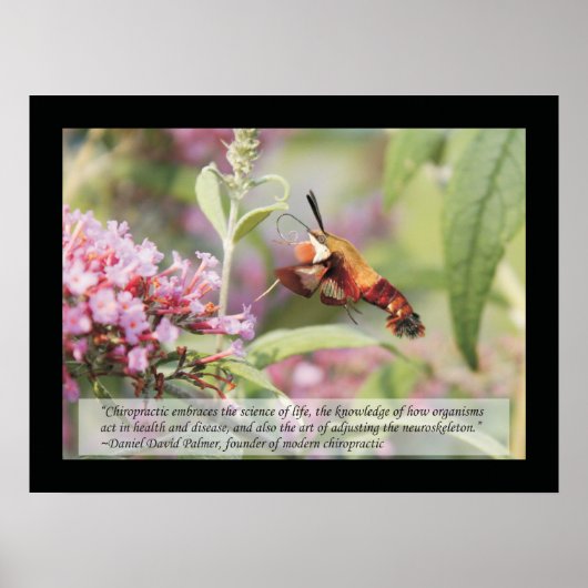 Chiropraktische Zitate und Redewendungen Gesundhei Poster (Vorne)