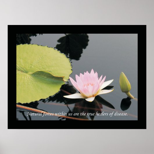 Chiropraktische Zitate und Redewendungen Gesundhei Poster (Vorne)
