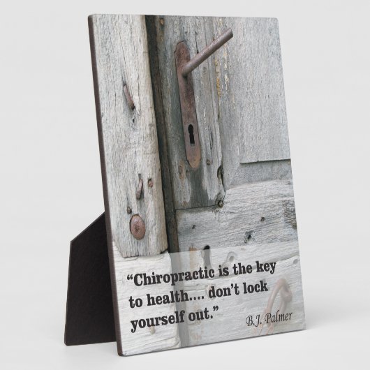 Chiropraktischer Schlüssel zum Gesundheitszustand Fotoplatte (Seite)