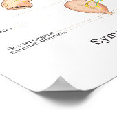 Chiropraktisches ANS-Poster des autonomen Nervensy Poster (Ecke)