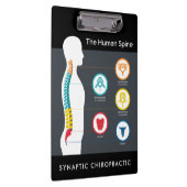 Chiropraktisches Diagramm der Anatomie der menschl Klemmbrett (Rechts)