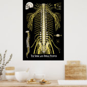 Chiropraktisches Diagramm der Wirbelsäule und Wirb Poster (Küche)