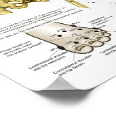 Chiropraktisches Osteopath-Poster für die angewand Poster (Ecke)