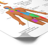 Chiropraktisches Plakat für Kiefernschmerzen (Ecke)