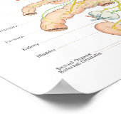 Chiropraktisches Poster des autonomen Nervensystem (Ecke)