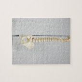 Chiropraktisches Skelett Puzzle (Horizontal)