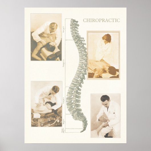 Chiropraktisches Spinalanpassungspaket Poster (Vorne)