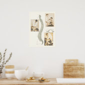 Chiropraktisches Spinalanpassungspaket Poster (Küche)