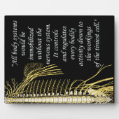 Chiropraktisches Systemangebot erleichtern Fotoplatte (Vorderseite)