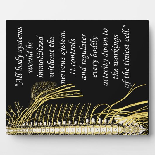 Chiropraktisches Systemangebot erleichtern Fotoplatte (Vorderseite)