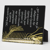 Chiropraktisches Systemangebot erleichtern Fotoplatte (Seite)