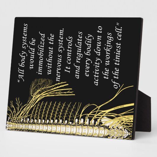 Chiropraktisches Systemangebot erleichtern Fotoplatte (Seite)