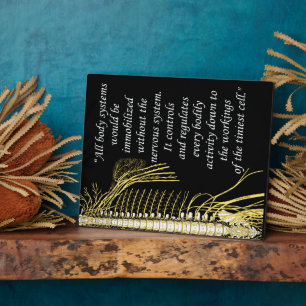 Chiropraktisches Systemangebot erleichtern Fotoplatte