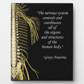 Chiropraktisches Systemangebot erleichtern Fotoplatte (Vorderseite)