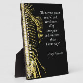 Chiropraktisches Systemangebot erleichtern Fotoplatte (Seite)