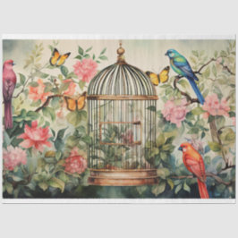 Chirping Melodien: Entfärbung des Geburtskäfigs Seidenpapier