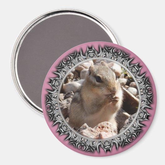 Chirpy Chipmunk Magnet (verblasste Grenze) (Vorderseite/Rückseite)