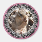 Chirpy Chipmunk Magnet (verblasste Grenze) (Vorne)