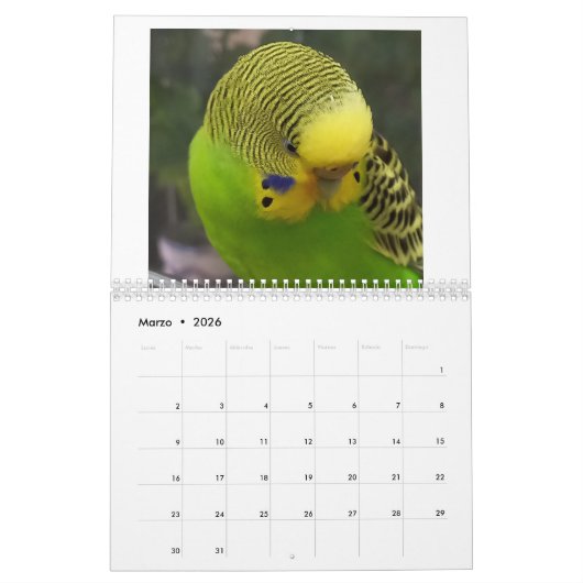 Chirpy-Kalender 2024 Kalender (Mär 2026)