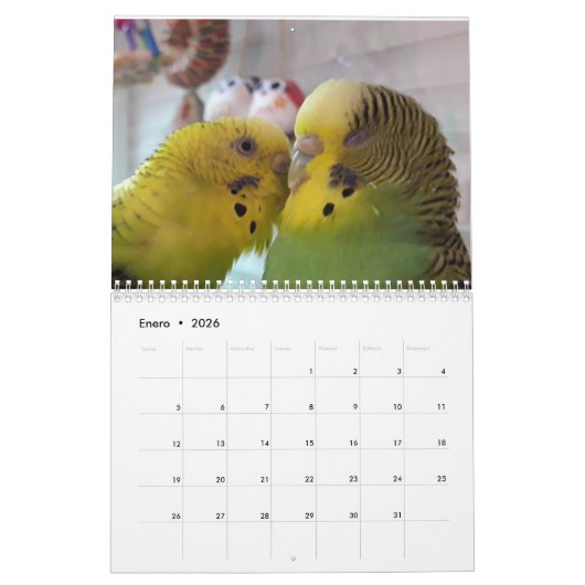 Chirpy-Kalender 2024 Kalender (Jan 2026)