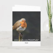 Chirpy Robin Karte (Rückseite)