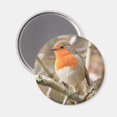 Chirpy Robin Magnet (Vorderseite/Rückseite)