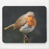 Chirpy Robin Mousepad (Vorne)