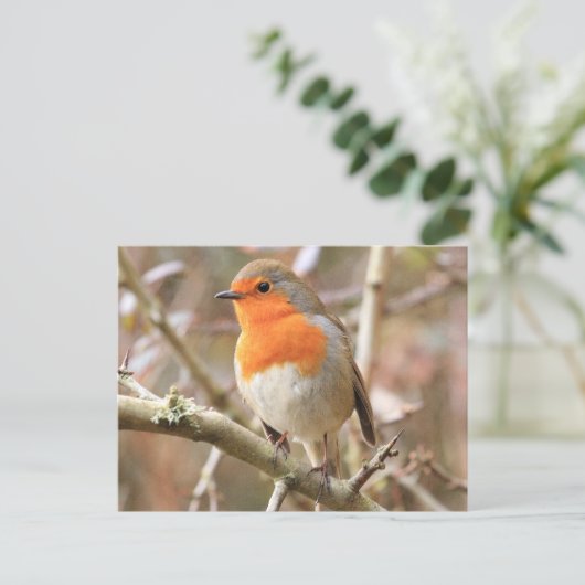 Chirpy Robin Postkarte (Stehend Vorderseite)