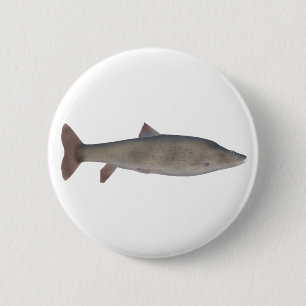 Chirruh-Schneebarbe Button