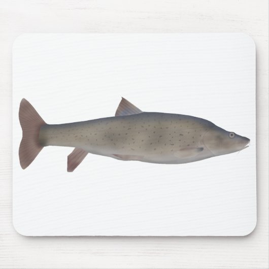Chirruh-Schneebarbe Mousepad (Vorne)