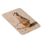 chirurgisch magnet (Rechte Seite)
