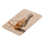 chirurgisch magnet (Linke Seite)