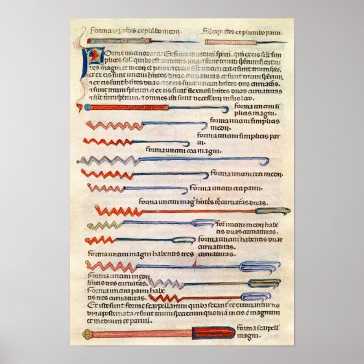 Chirurgische Instrumente aus einer Abhandlung Poster (Vorne)