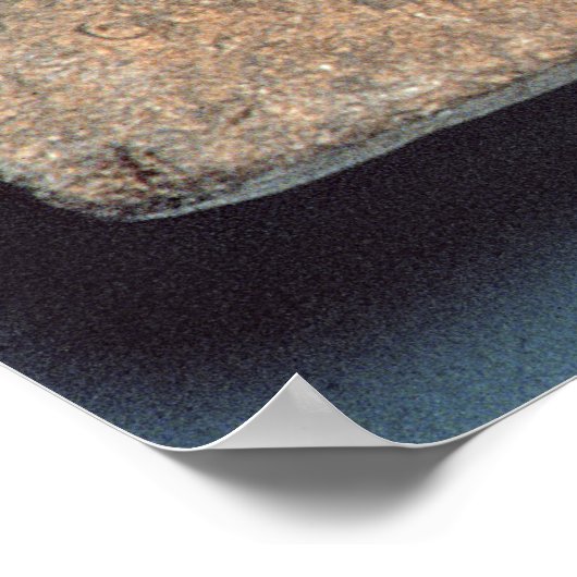 Chirurgische Instrumente Poster (Ecke)