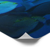 Chirurgische Schule Poster (Ecke)