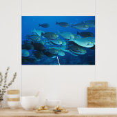 Chirurgische Schule Poster (Küche)