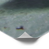 Chirurgischer Hund Poster (Ecke)