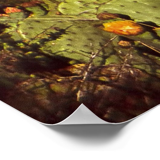 Chisos Moonrise Poster (Ecke)