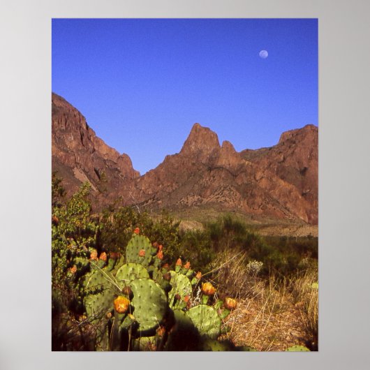 Chisos Moonrise Poster (Vorne)