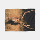 Chital Natural Habitat | Bandhavgar National Park Fleecedecke (Vorderseite (Horizontal))