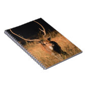 Chital Natural Habitat | Bandhavgar National Park Notizblock (Rechte Seite)